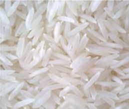 Manufacturers Exporters and Wholesale Suppliers of Basmati White Rice Nagpur Maharashtra